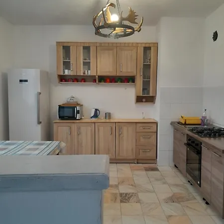 Vila Kira Buşteni-2